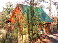 Honeymoon cabin in Pigeon Forge, Tn.